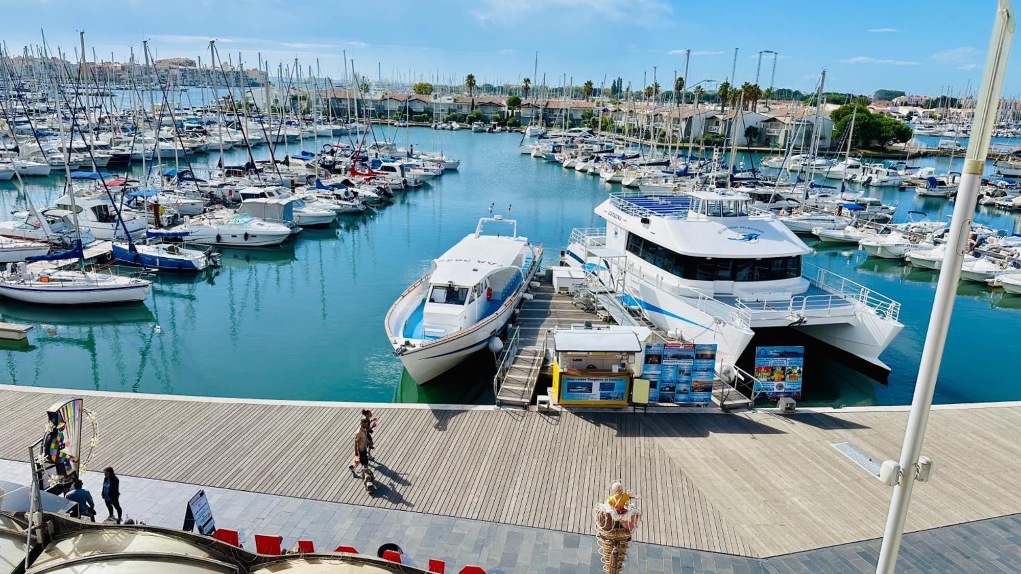 Studio Face Au Port Agde Zewnętrze zdjęcie
